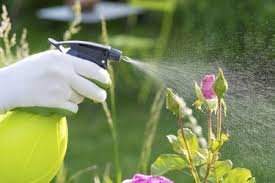 Alpha-cypermethrin technical